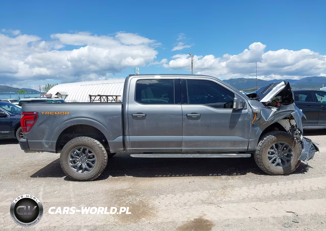 2025 Ford F-150 Tremor VIN:1FTFW4L54SFC48436 - 13