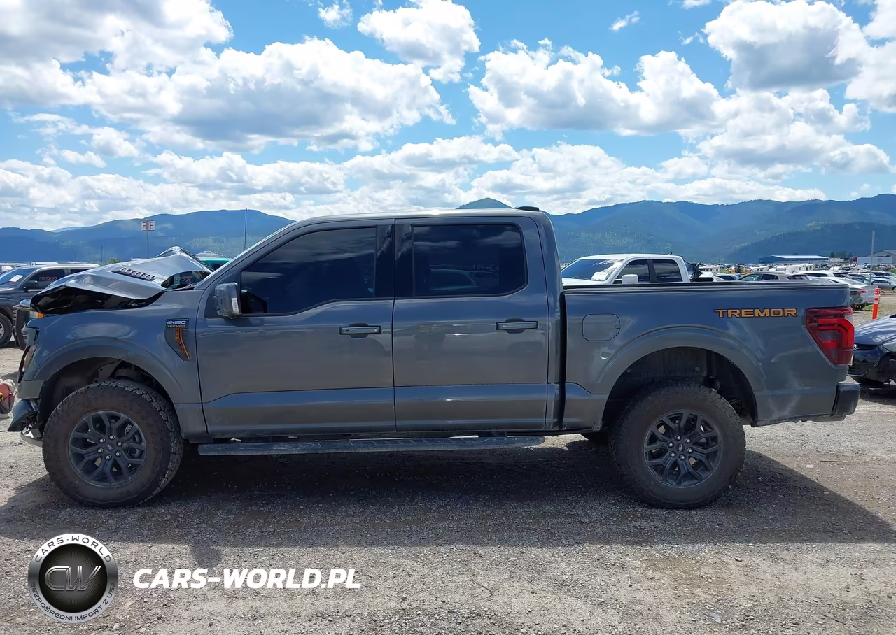 2025 Ford F-150 Tremor VIN:1FTFW4L54SFC48436 - 14
