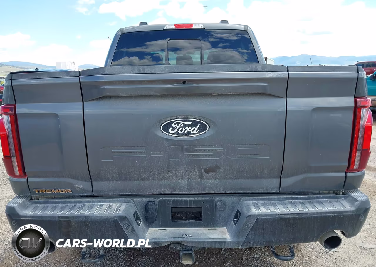 2025 Ford F-150 Tremor VIN:1FTFW4L54SFC48436 - 16