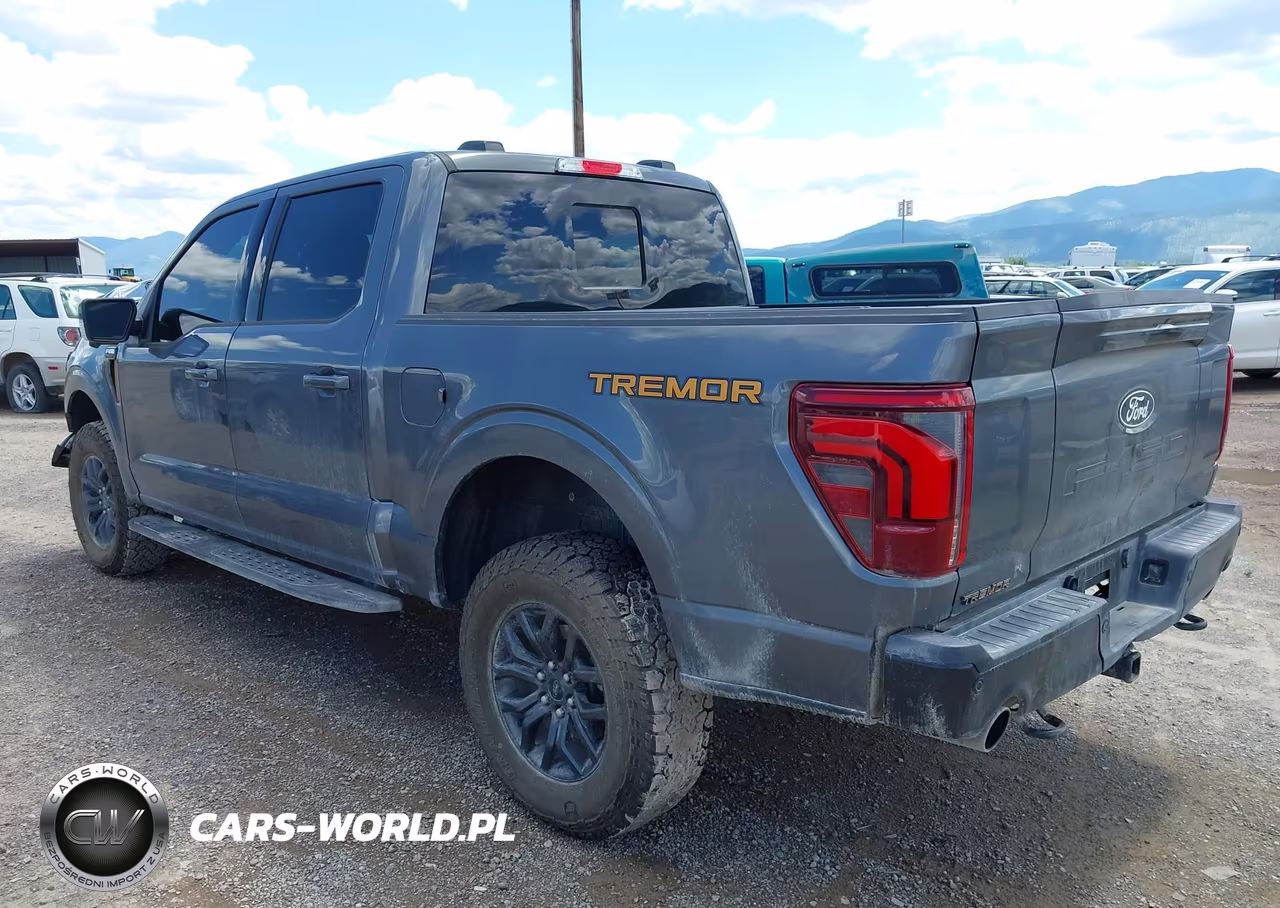 2025 Ford F-150 Tremor VIN:1FTFW4L54SFC48436 - 3