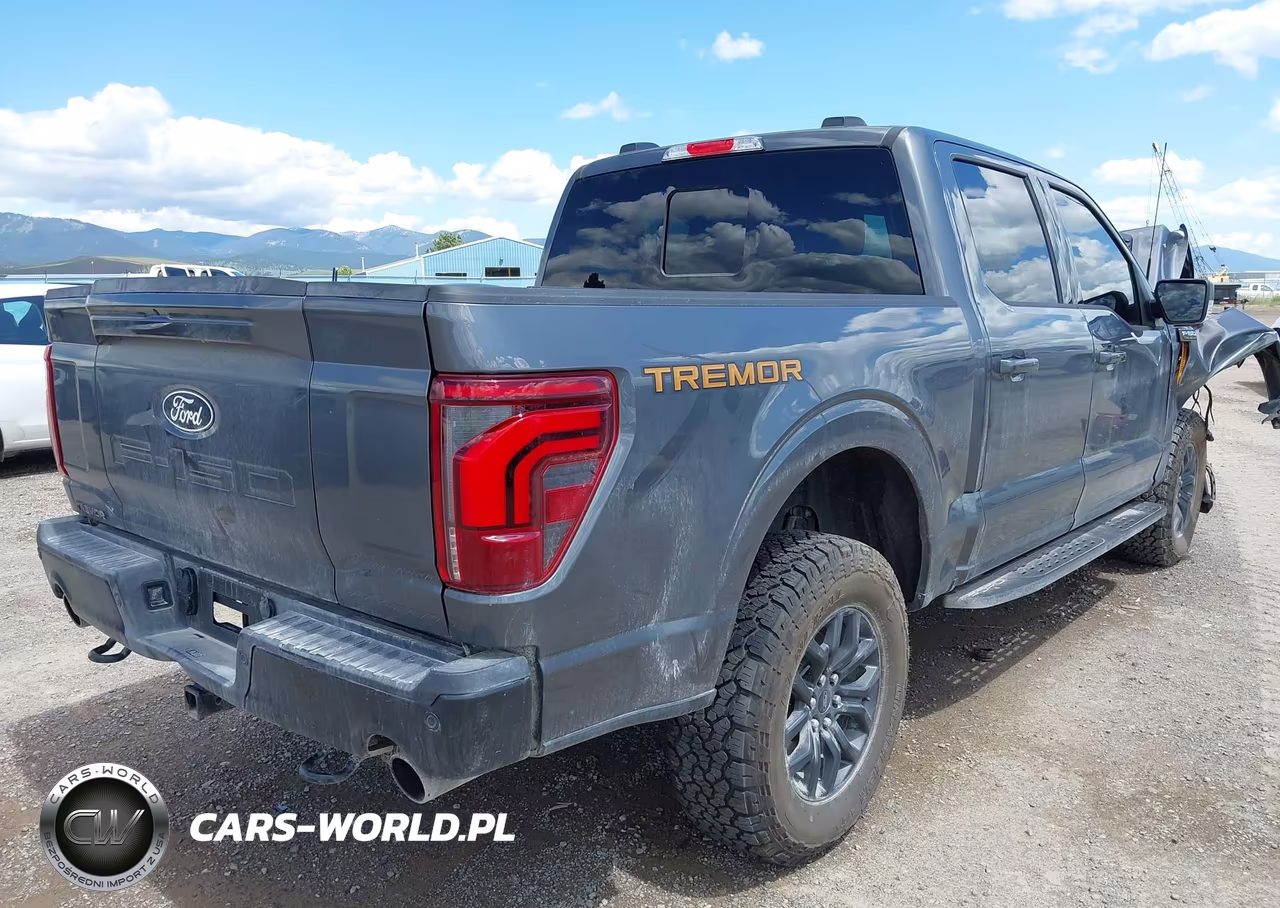 2025 Ford F-150 Tremor VIN:1FTFW4L54SFC48436 - 4