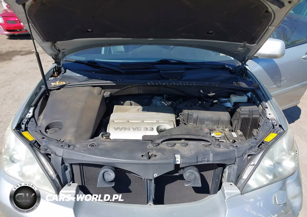 2004 Lexus Rx 330 VIN:2T2HA31U54C009318 - 10