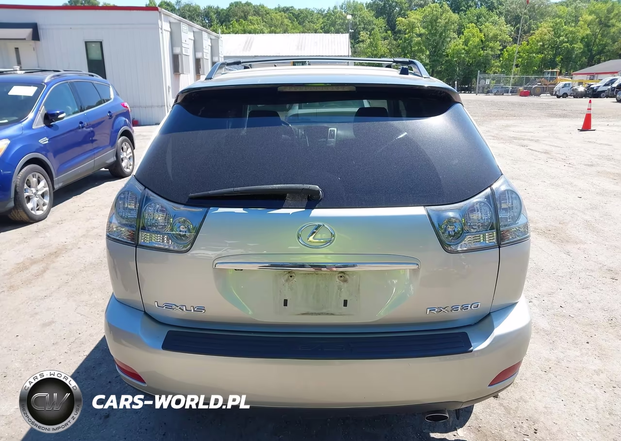 2004 Lexus Rx 330 VIN:2T2HA31U54C009318 - 16