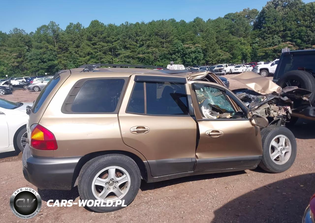 2004 Hyundai Santa Fe Gls-Lx VIN:KM8SC13E54U616090 - 14