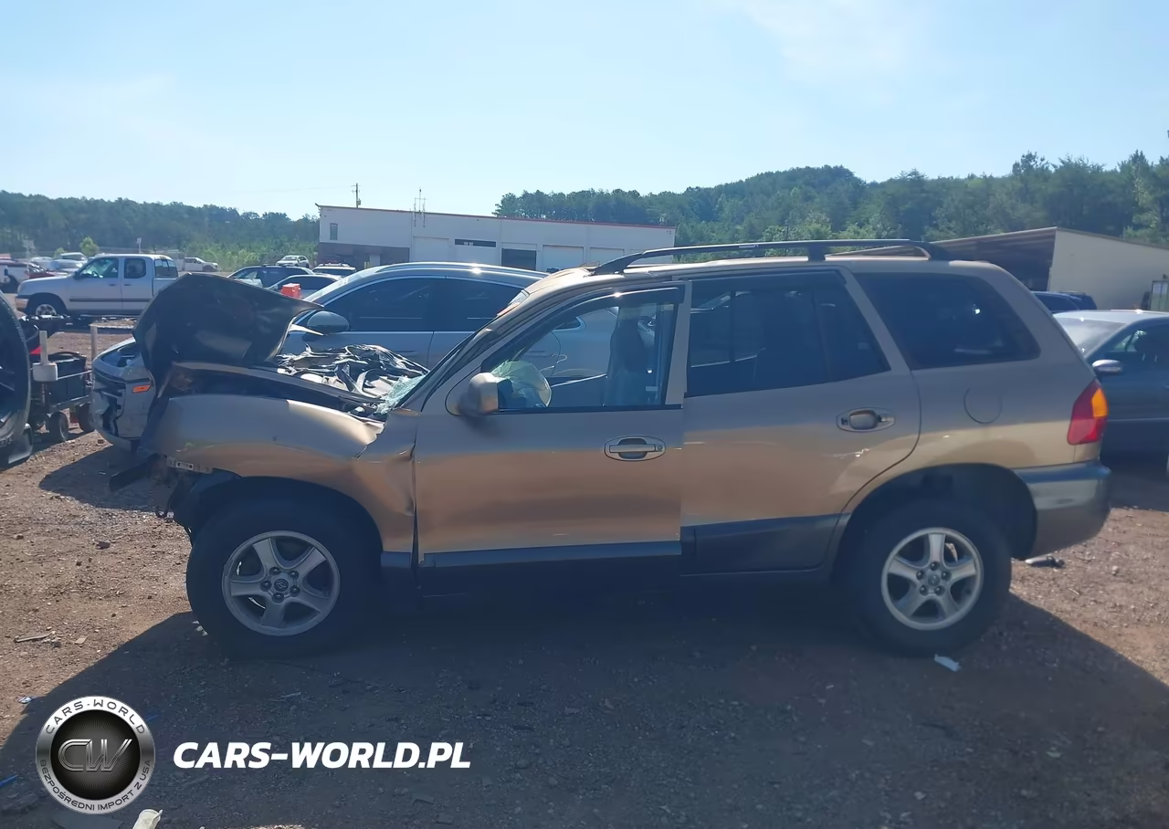2004 Hyundai Santa Fe Gls-Lx VIN:KM8SC13E54U616090 - 15