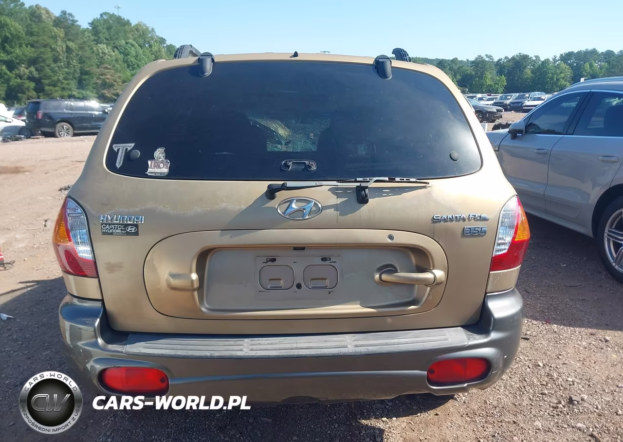 2004 Hyundai Santa Fe Gls-Lx VIN:KM8SC13E54U616090 - 17