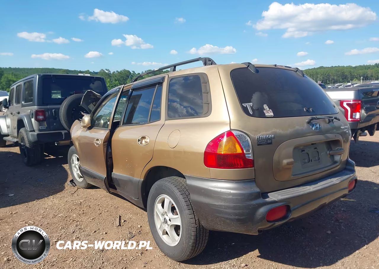 2004 Hyundai Santa Fe Gls-Lx VIN:KM8SC13E54U616090 - 3