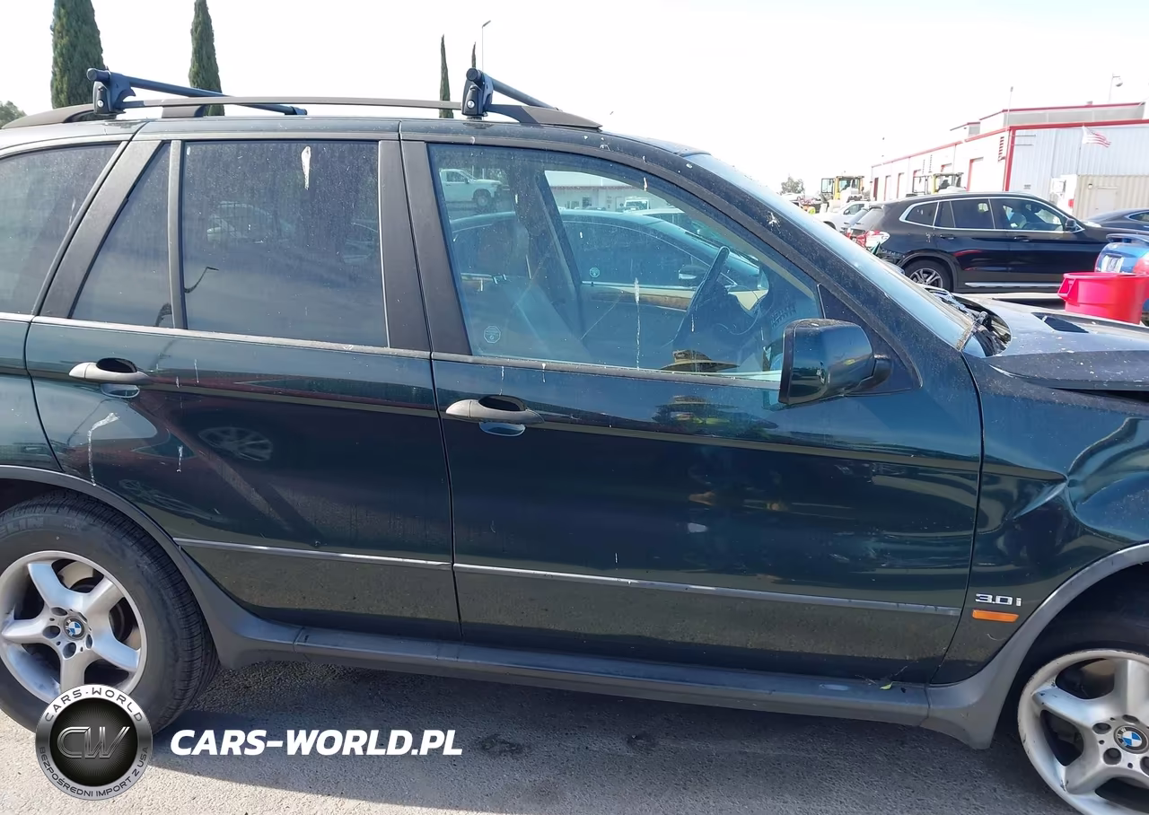 2001 BMW X5 3.0 VIN:WBAFA53541LP20555 - 13