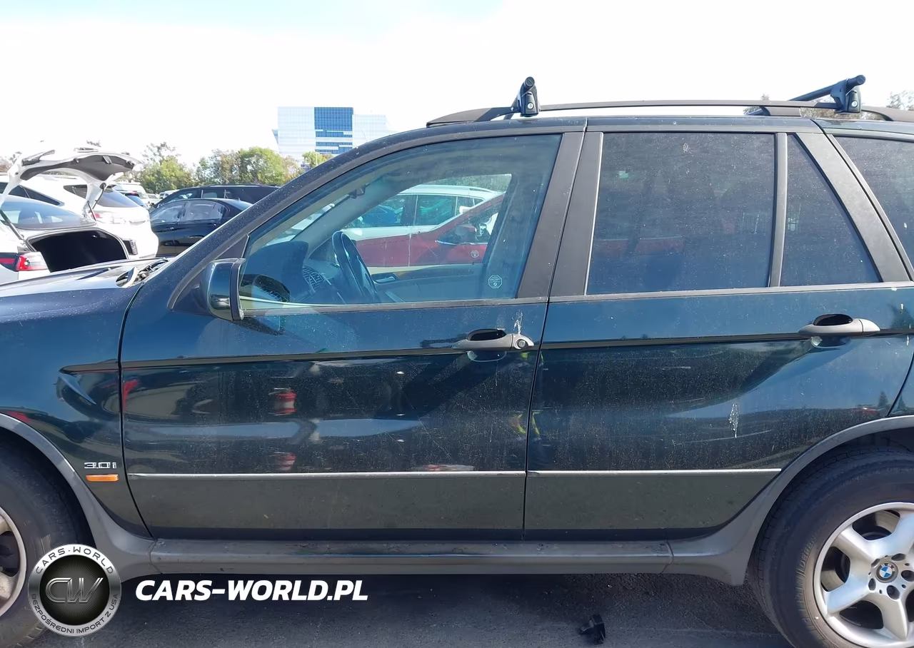 2001 BMW X5 3.0 VIN:WBAFA53541LP20555 - 14