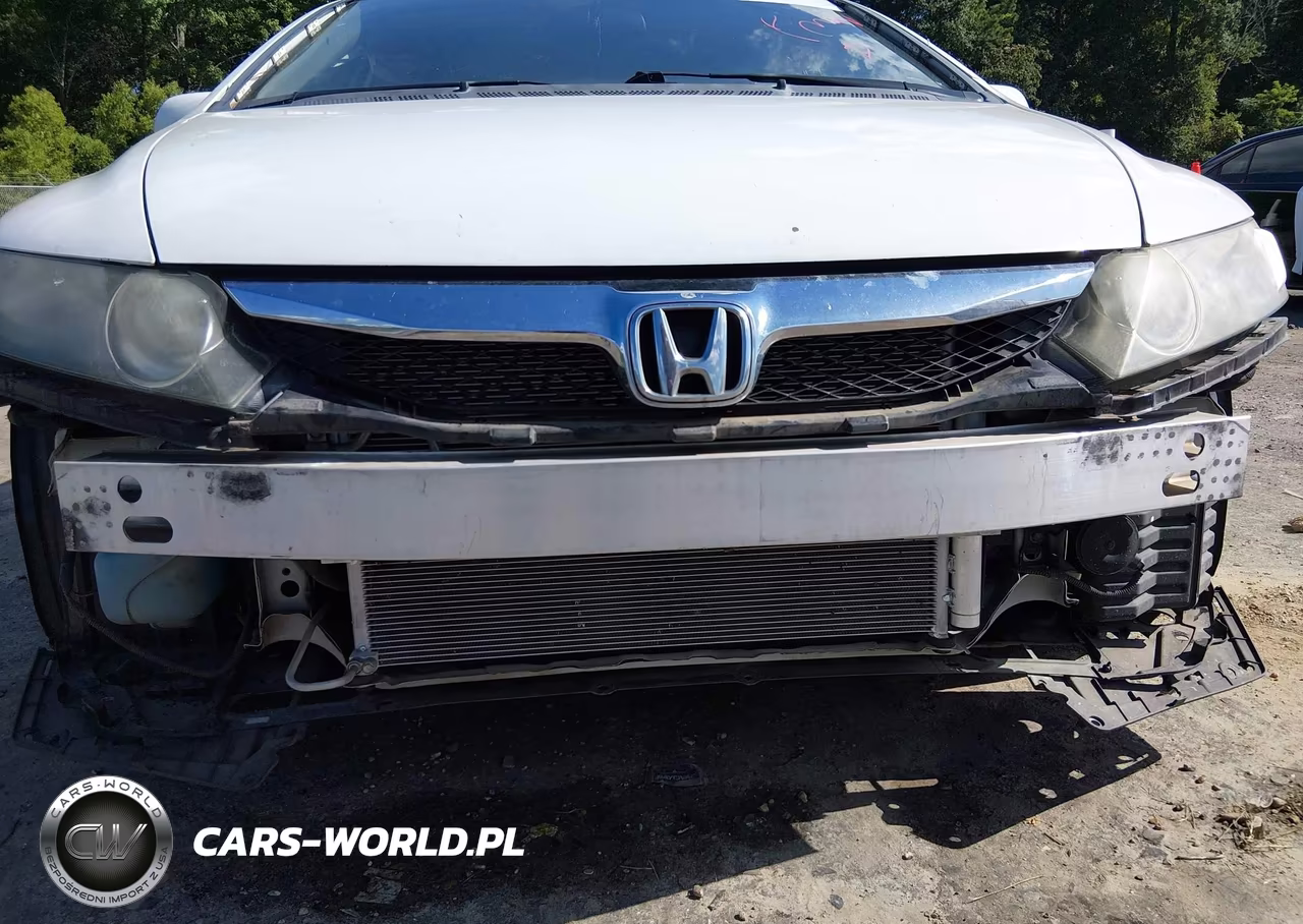 2010 Honda Civic Lx VIN:2HGFA1F51AH549110 - 19