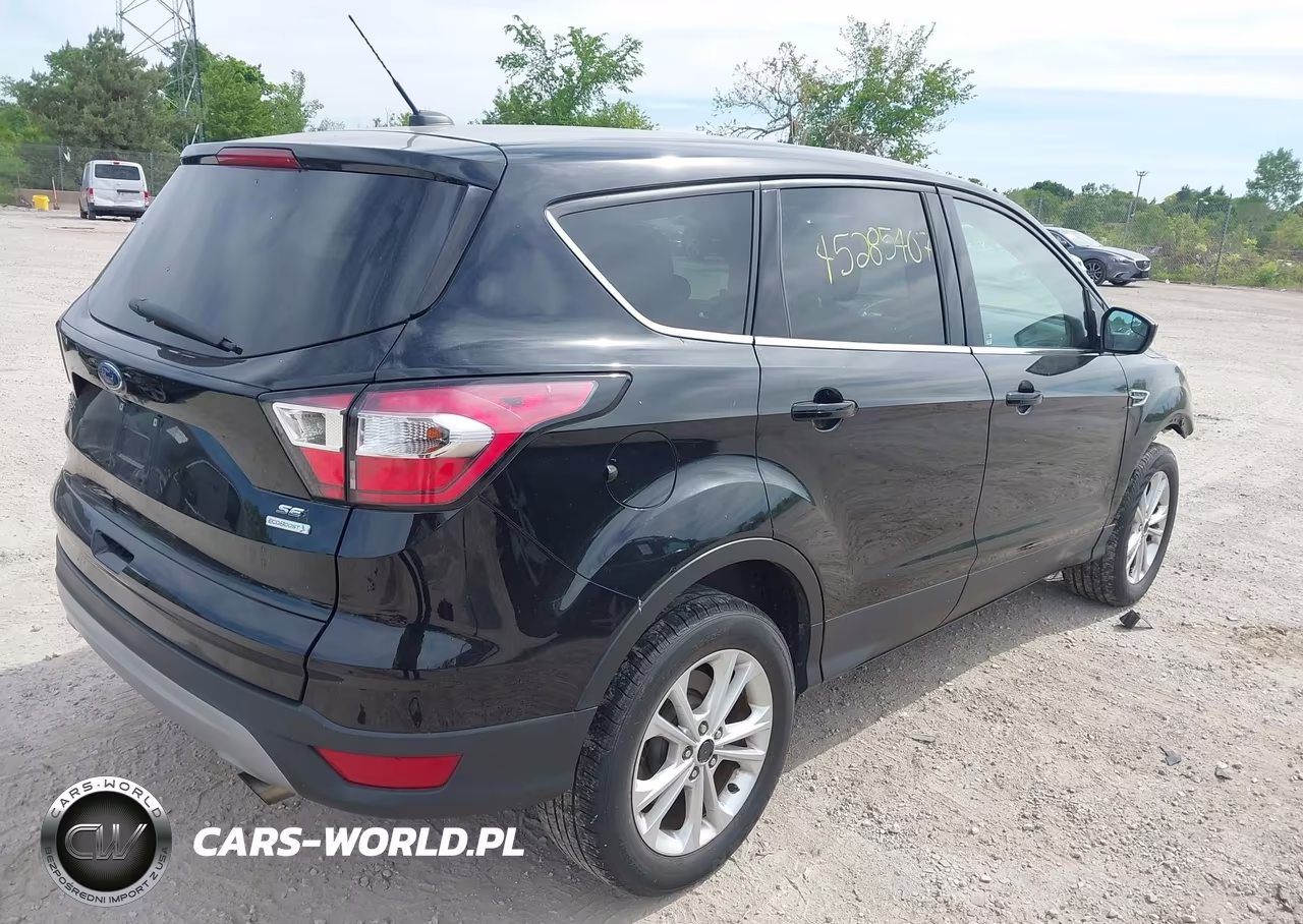 2017 Ford Escape Se VIN:1FMCU0GD5HUE66243 - 4