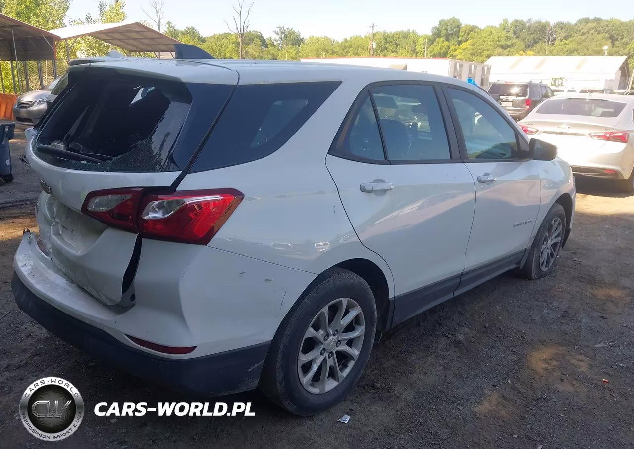 2020 Chevrolet Equinox Fwd Ls VIN:3GNAXHEV8LS727863 - 4