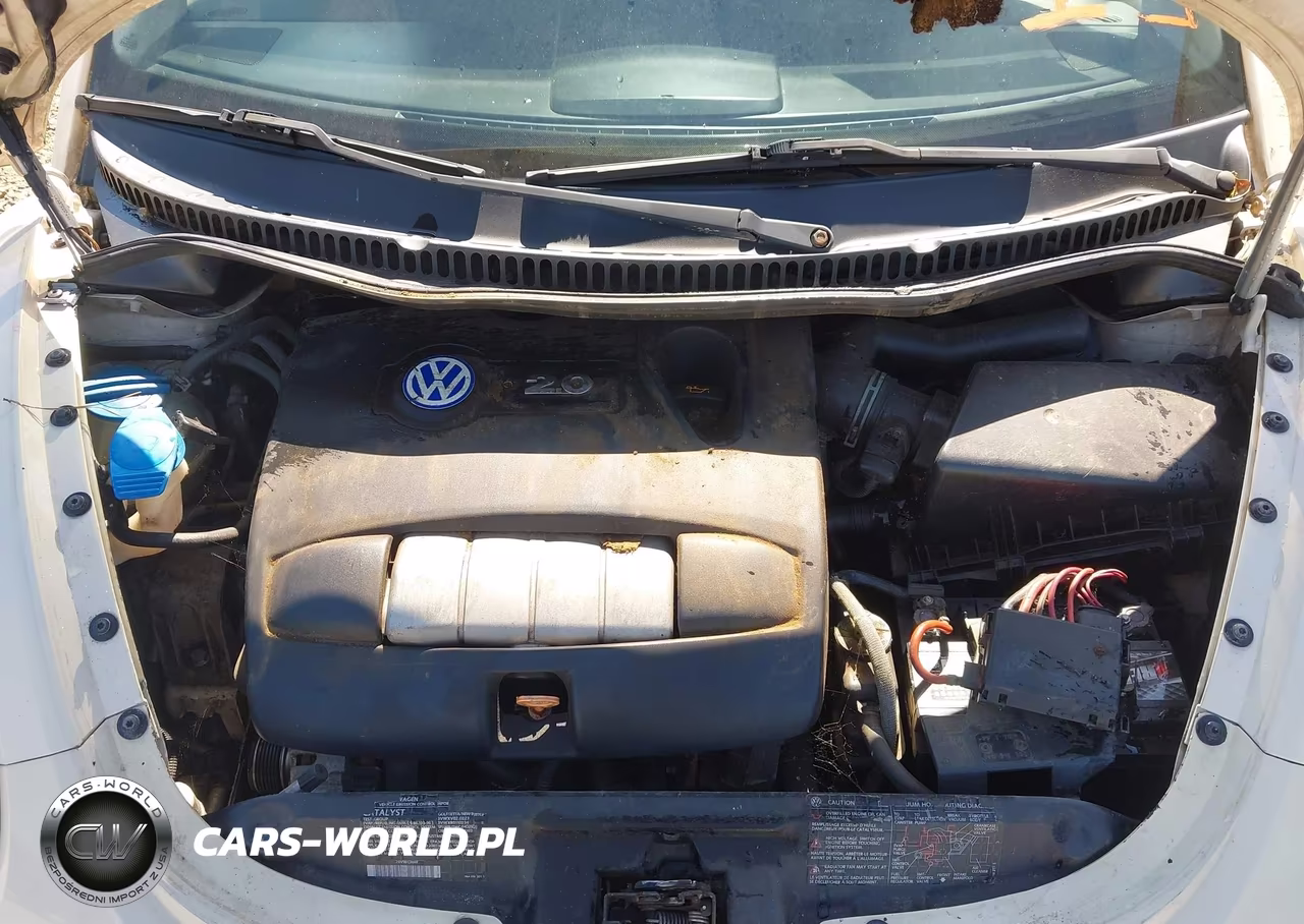 2003 Volkswagen New Beetle Gls VIN:3VWCK21Y13M315007 - 10