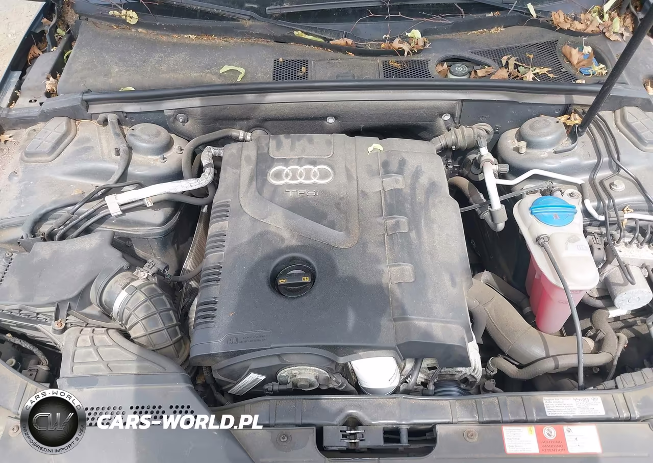 2009 Audi A4 2.0T Premium VIN:WAULF78K99A084396 - 10