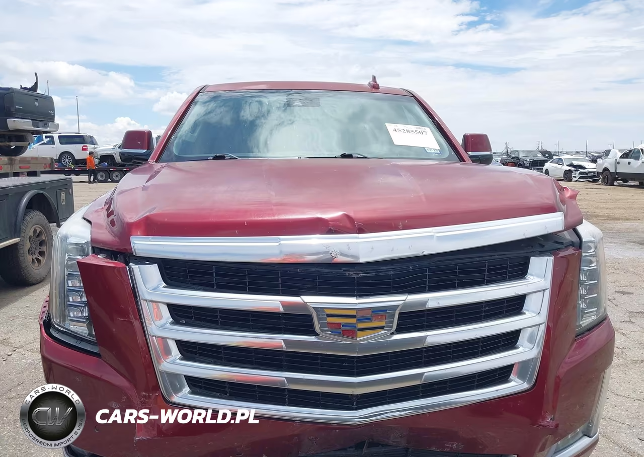 2016 Cadillac Escalade Luxury Collection VIN:1GYS3BKJ2GR138902 - 12