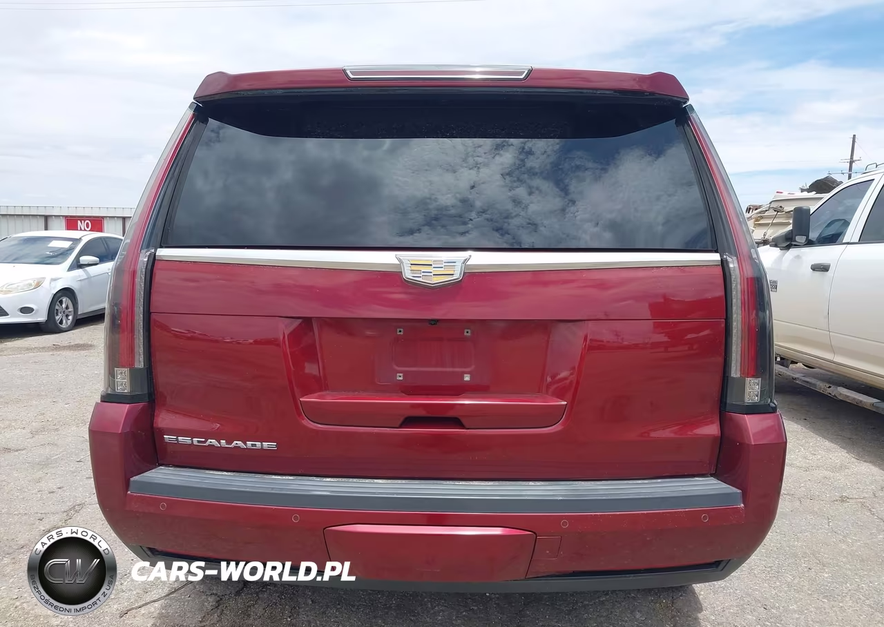 2016 Cadillac Escalade Luxury Collection VIN:1GYS3BKJ2GR138902 - 16
