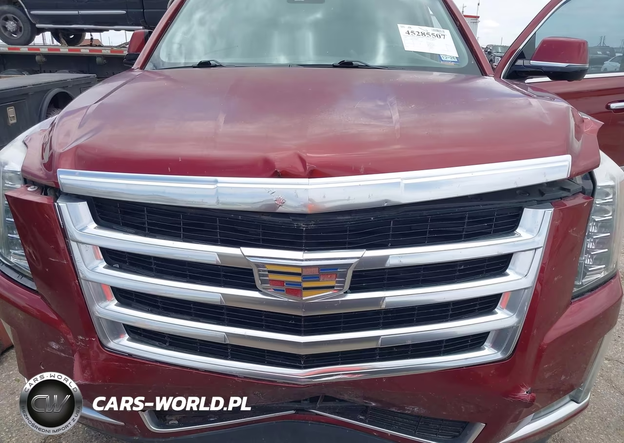 2016 Cadillac Escalade Luxury Collection VIN:1GYS3BKJ2GR138902 - 6