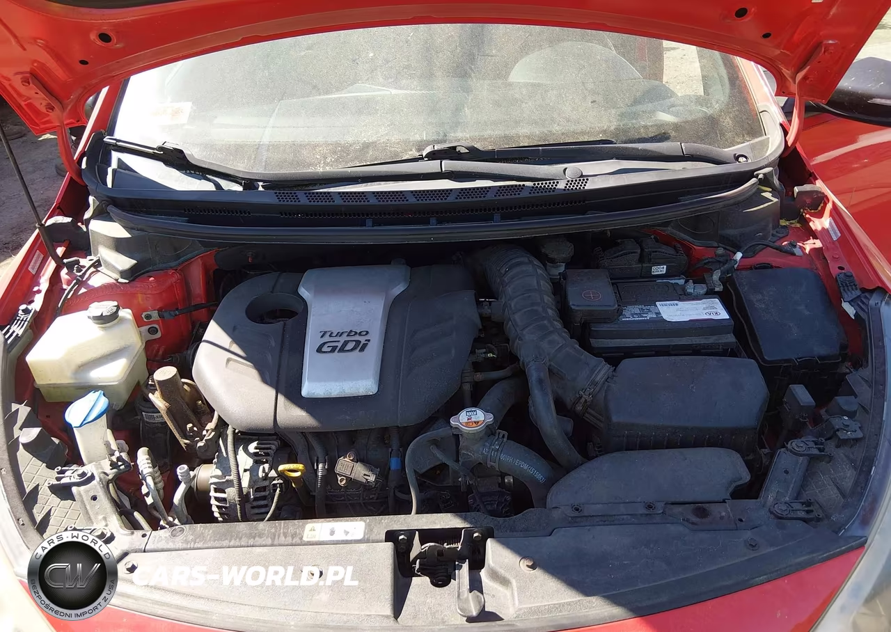 2015 Kia Forte Sx VIN:KNAFZ5A32F5269874 - 10