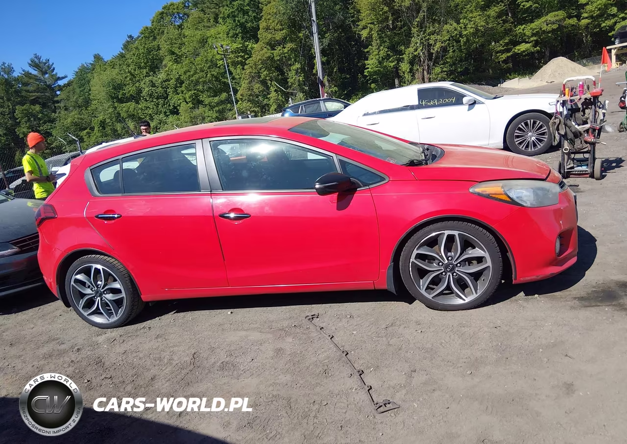 2015 Kia Forte Sx VIN:KNAFZ5A32F5269874 - 13