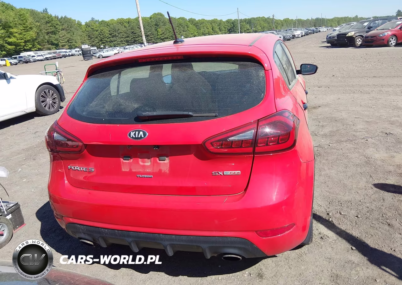 2015 Kia Forte Sx VIN:KNAFZ5A32F5269874 - 16