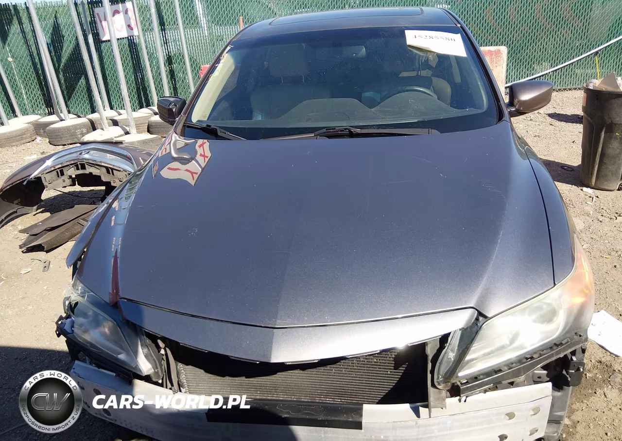 2013 Acura Ilx 2.0L VIN:19VDE1F59DE017168 - 13