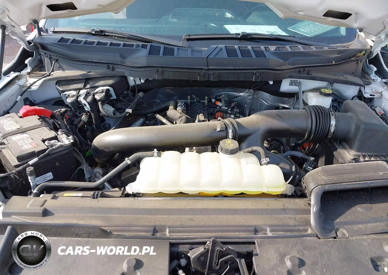 2024 Ford F-150 Xlt VIN:1FTFX3L87RKE60055 - 10