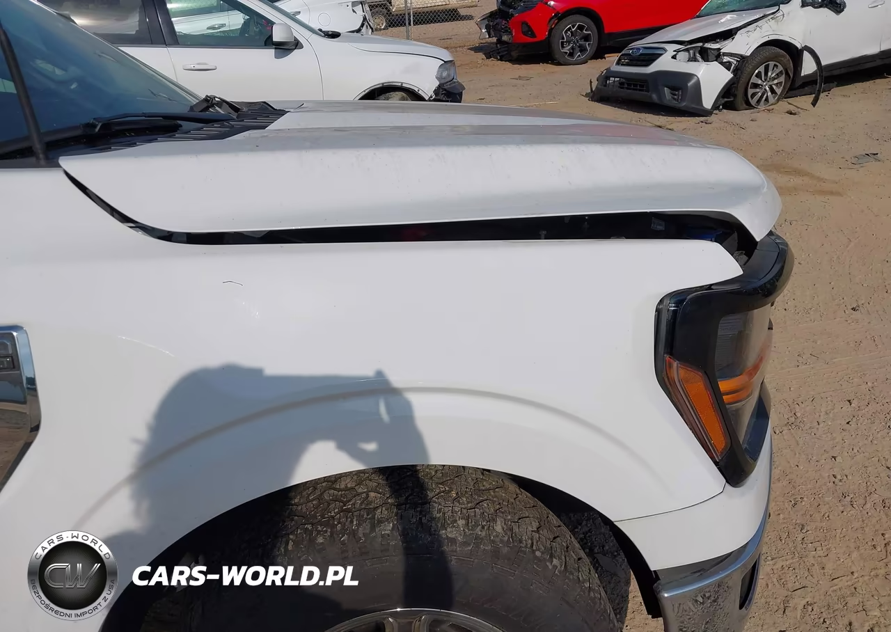 2024 Ford F-150 Xlt VIN:1FTFX3L87RKE60055 - 13