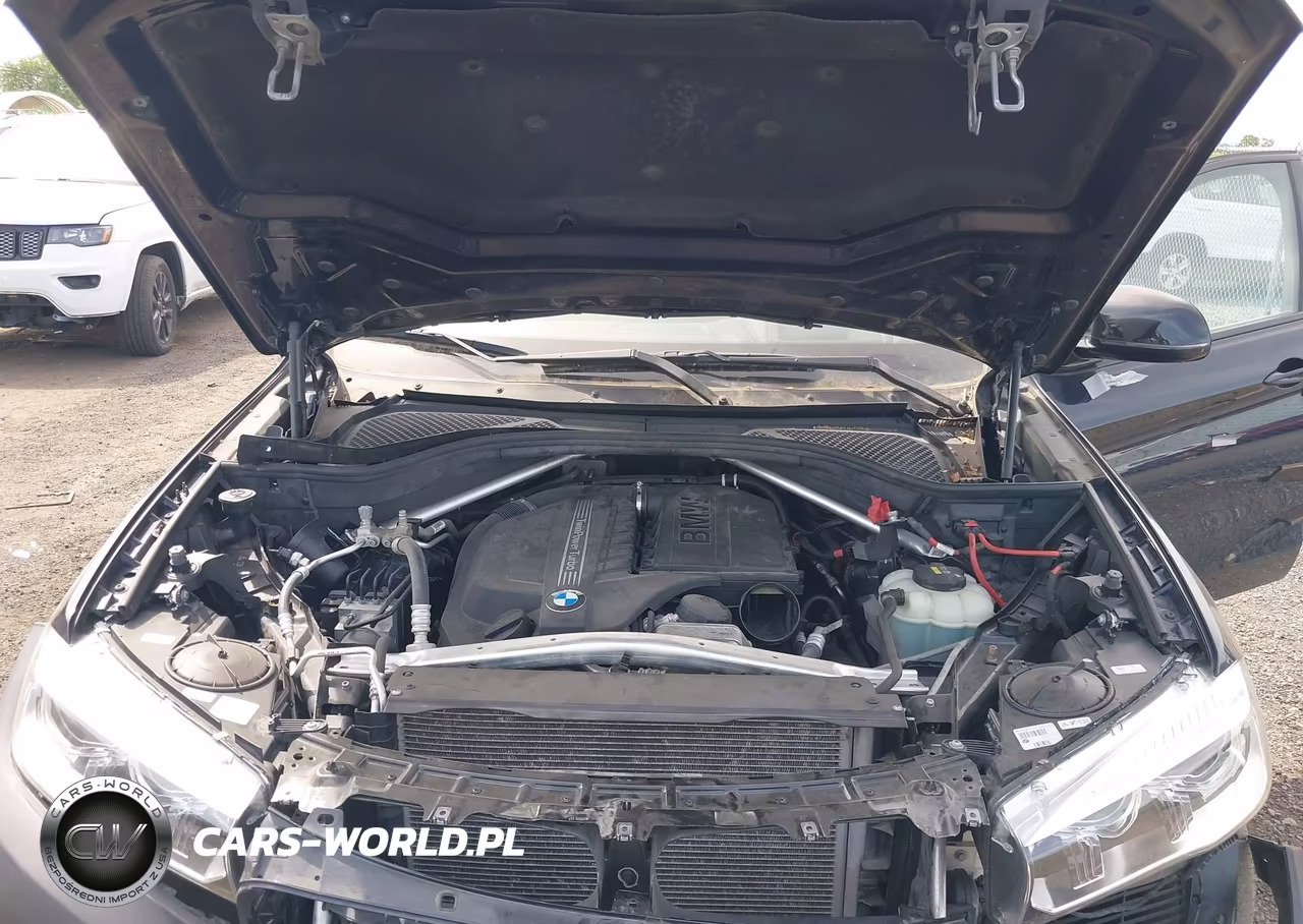 2018 BMW X6 xDrive35I VIN:5UXKU2C56J0X50261 - 10