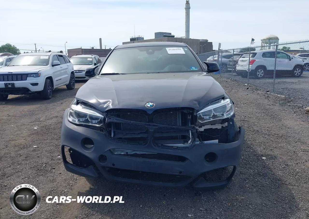 2018 BMW X6 xDrive35I VIN:5UXKU2C56J0X50261 - 12