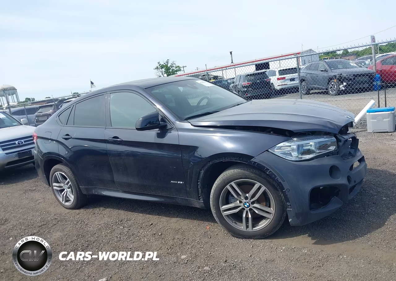 2018 BMW X6 xDrive35I VIN:5UXKU2C56J0X50261 - 13