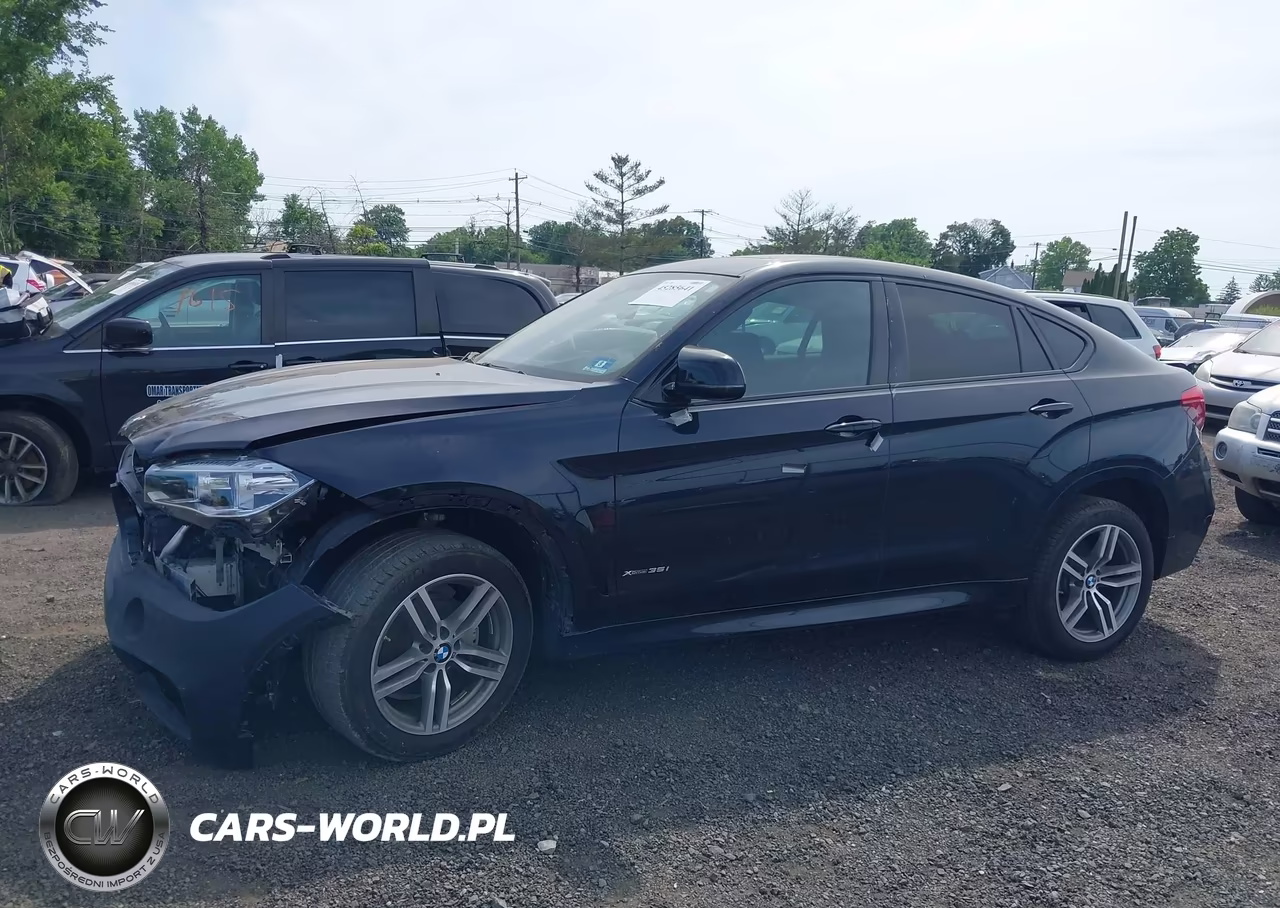 2018 BMW X6 xDrive35I VIN:5UXKU2C56J0X50261 - 14
