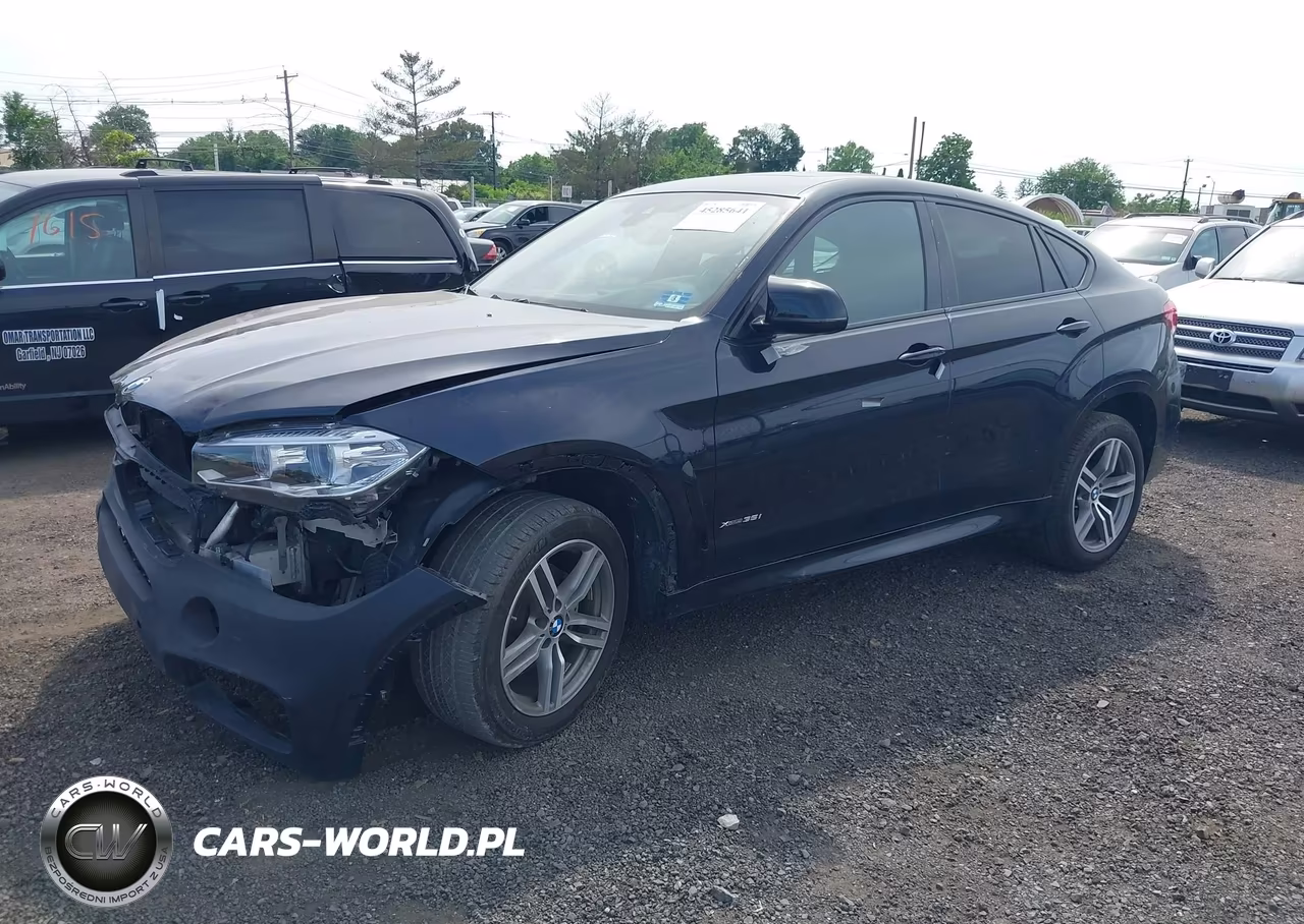 2018 BMW X6 xDrive35I VIN:5UXKU2C56J0X50261 - 2