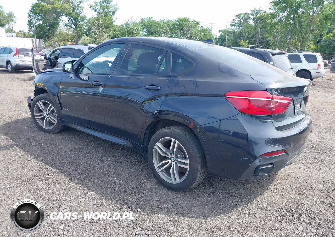 2018 BMW X6 xDrive35I VIN:5UXKU2C56J0X50261 - 3