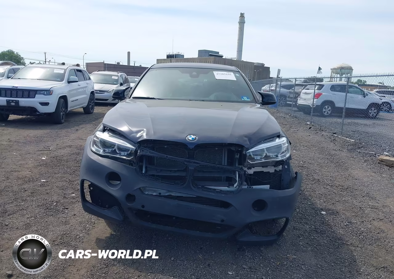 2018 BMW X6 xDrive35I VIN:5UXKU2C56J0X50261 - 6