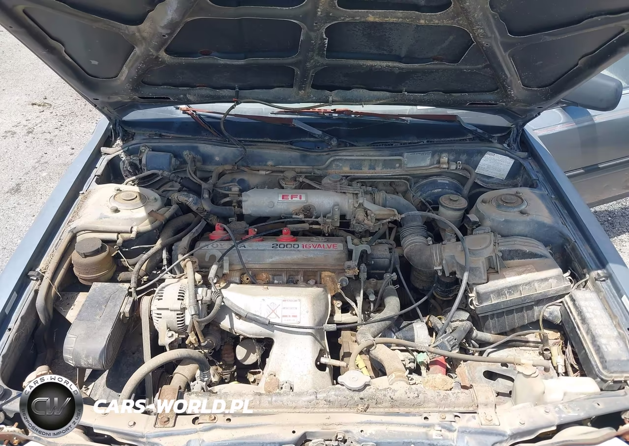 1988 Toyota Camry Dlx VIN:JT2SV21E1J3240165 - 10