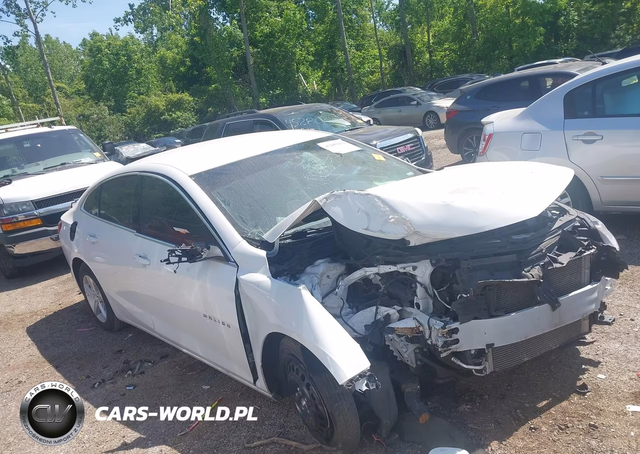 2019 Chevrolet Malibu 1Ls