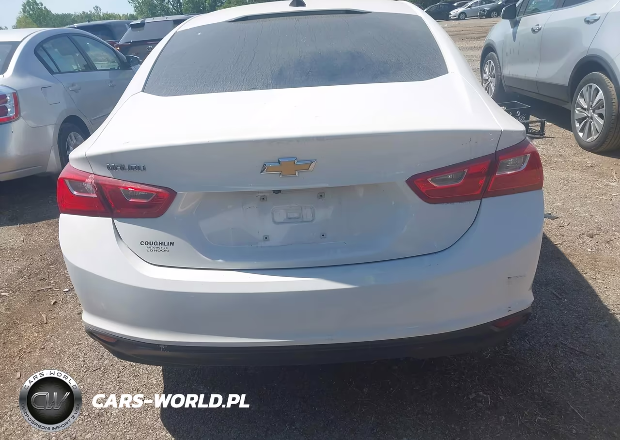 2019 Chevrolet Malibu 1Ls VIN:1G1ZB5ST0KF143612 - 17