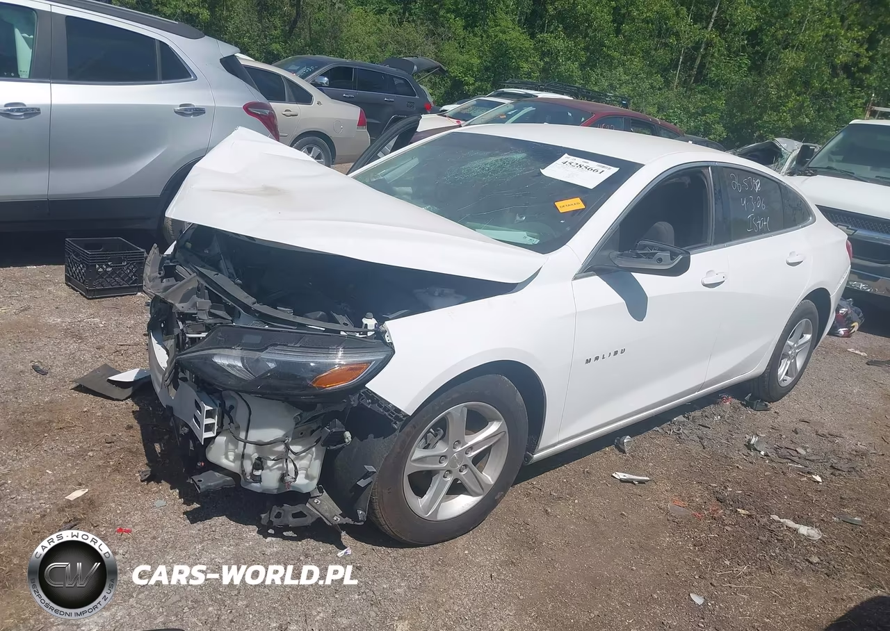 2019 Chevrolet Malibu 1Ls VIN:1G1ZB5ST0KF143612 - 2
