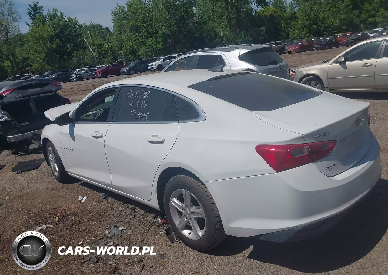 2019 Chevrolet Malibu 1Ls VIN:1G1ZB5ST0KF143612 - 3