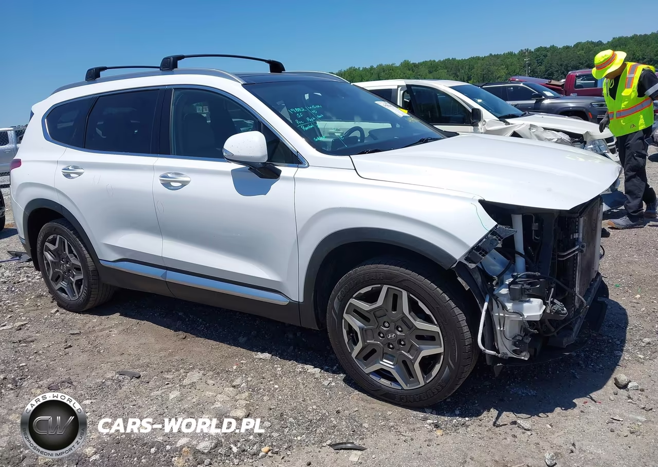 2022 Hyundai Santa Fe Limited VIN:5NMS44AL6NH414050 - 13