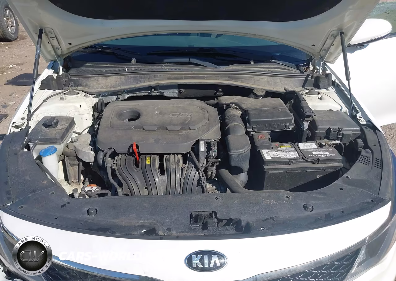 2016 Kia Optima Lx VIN:KNAGT4L30G5117199 - 10