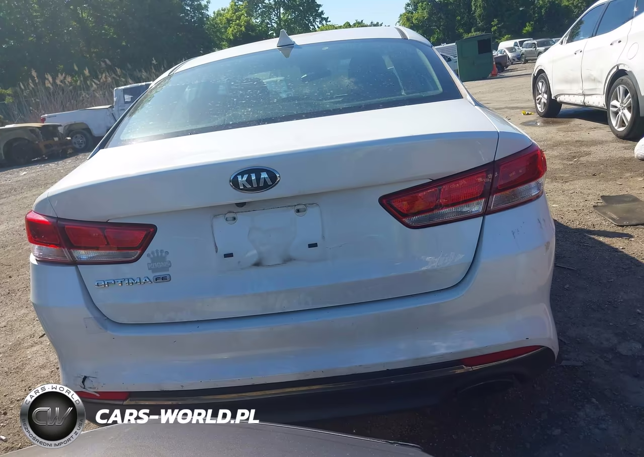 2016 Kia Optima Lx VIN:KNAGT4L30G5117199 - 17