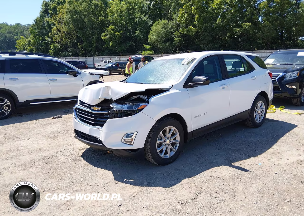 2020 Chevrolet Equinox Fwd Ls VIN:3GNAXHEV1LS736954 - 2