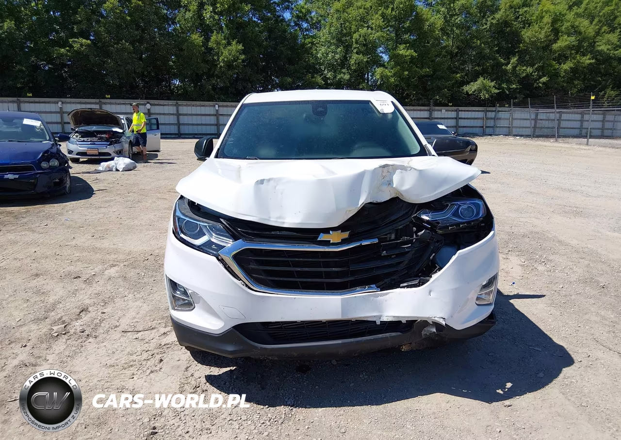 2020 Chevrolet Equinox Fwd Ls VIN:3GNAXHEV1LS736954 - 6