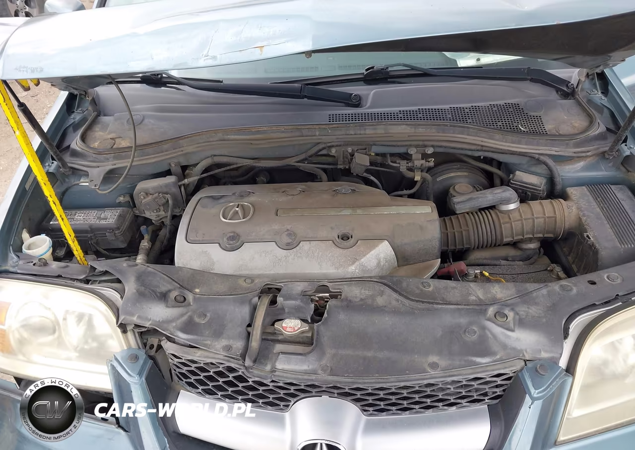 2006 Acura Mdx VIN:2HNYD18866H544959 - 10