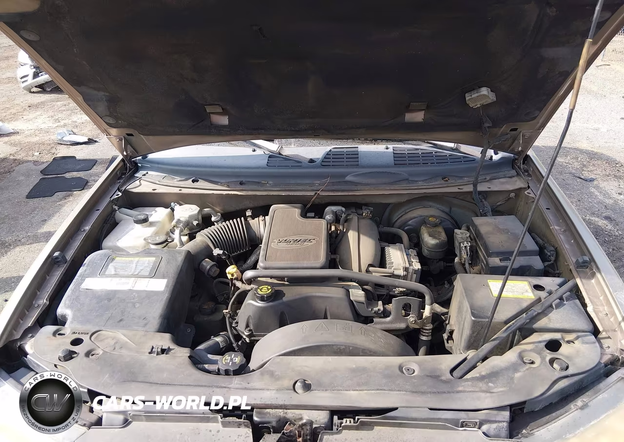 2002 Chevrolet Trailblazer Ls VIN:1GNDS13S422366556 - 10