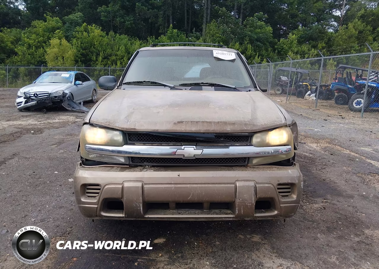 2002 Chevrolet Trailblazer Ls VIN:1GNDS13S422366556 - 12