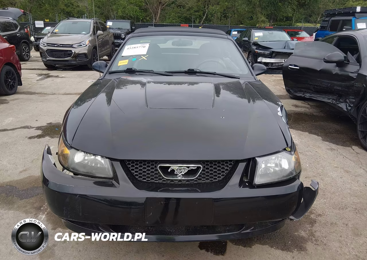 2004 Ford Mustang VIN:1FAFP444X4F117572 - 12