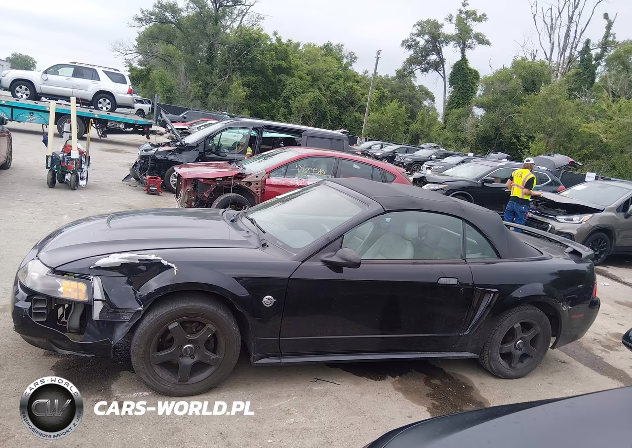 2004 Ford Mustang VIN:1FAFP444X4F117572 - 14