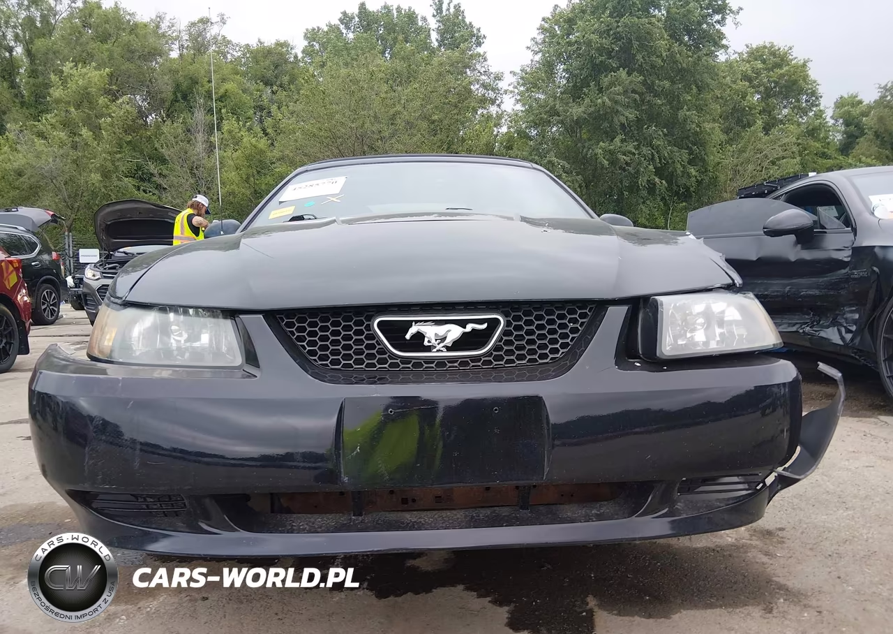 2004 Ford Mustang VIN:1FAFP444X4F117572 - 17
